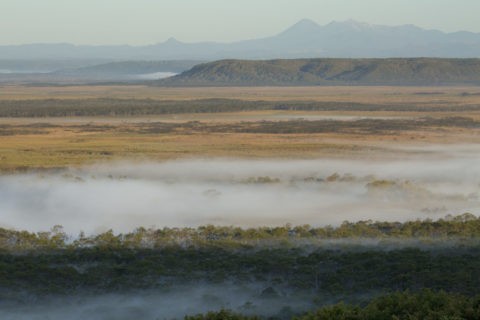 釧路湿原の朝