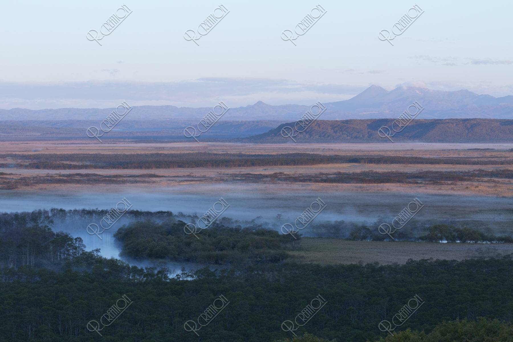 釧路湿原の朝靄