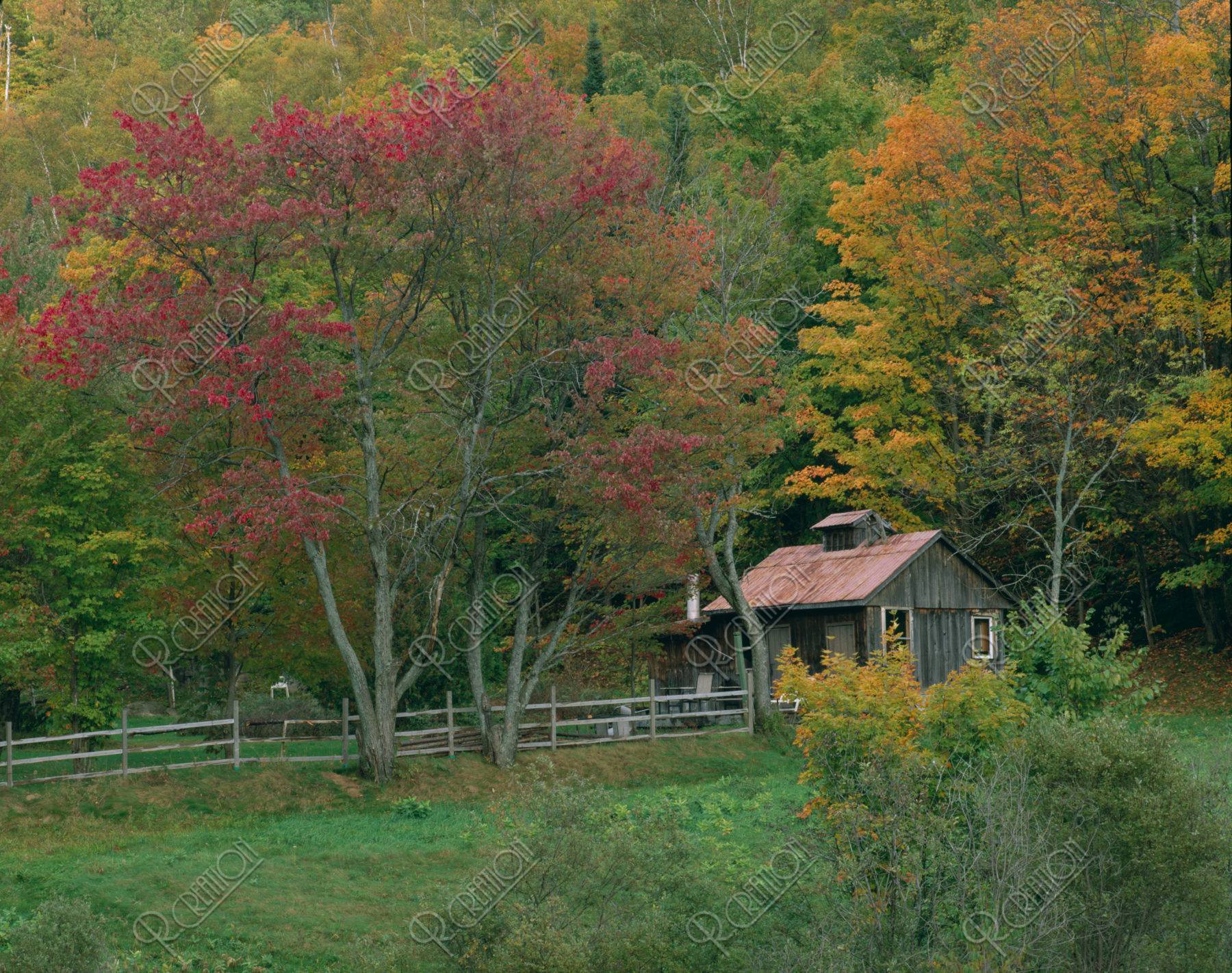 紅葉の中の小屋