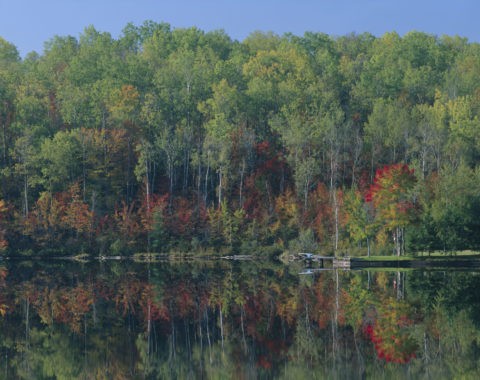 紅葉の湖 メジャー湖