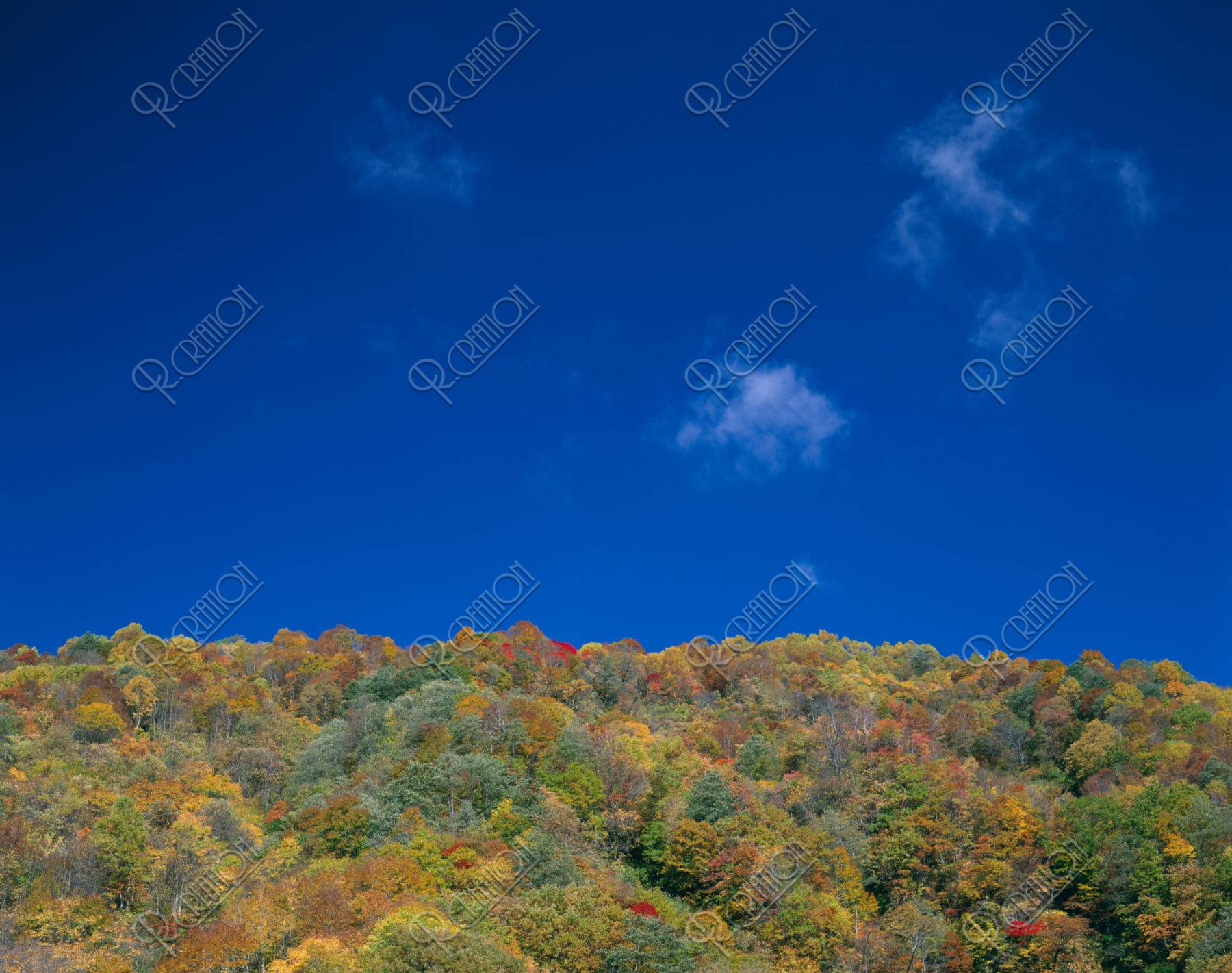 青空と紅葉の山 緑の回廊