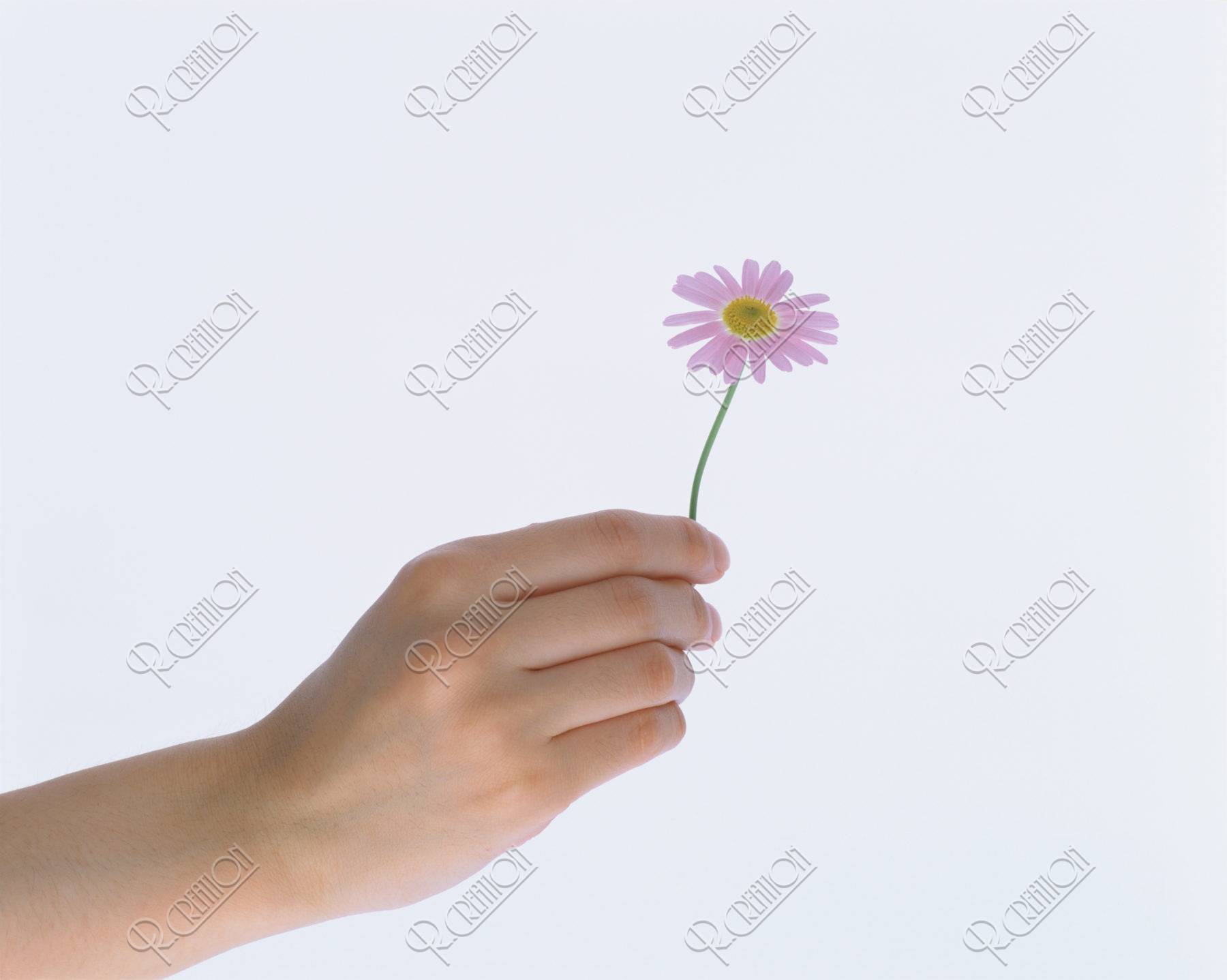 花を持つ手