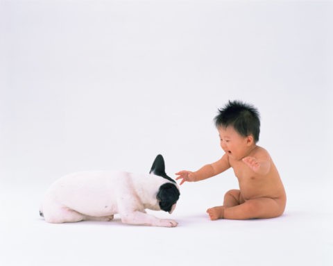 子犬と遊ぶ赤ちゃん