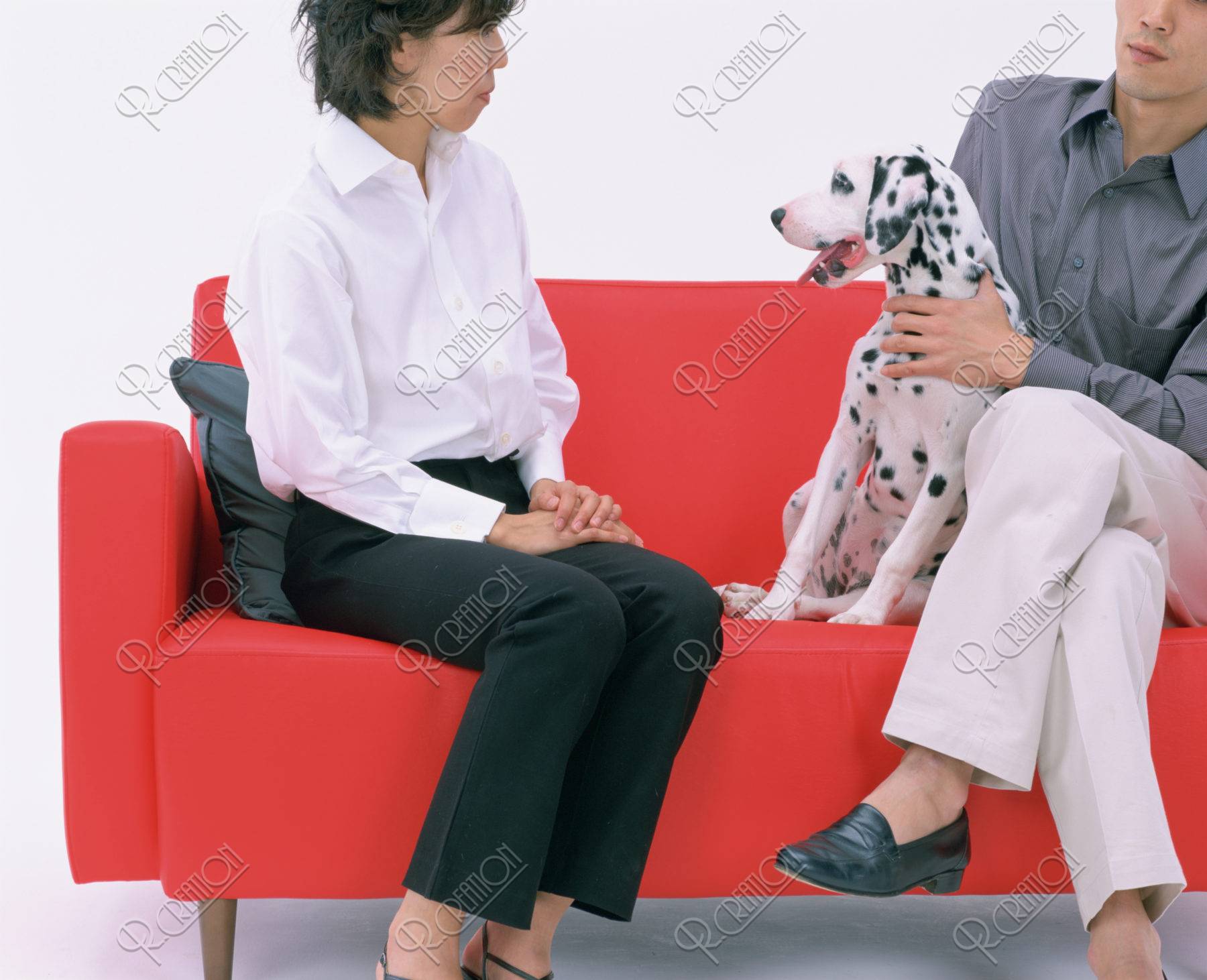 ソファーに座る人と犬