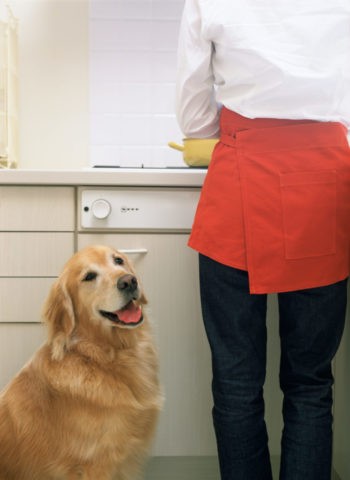 キッチンの女性と犬