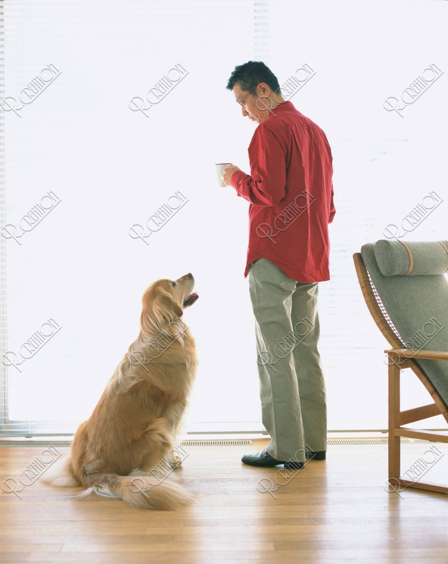 リビングの男性と犬