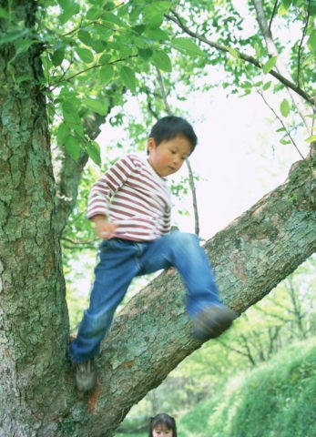 木に登る男の子