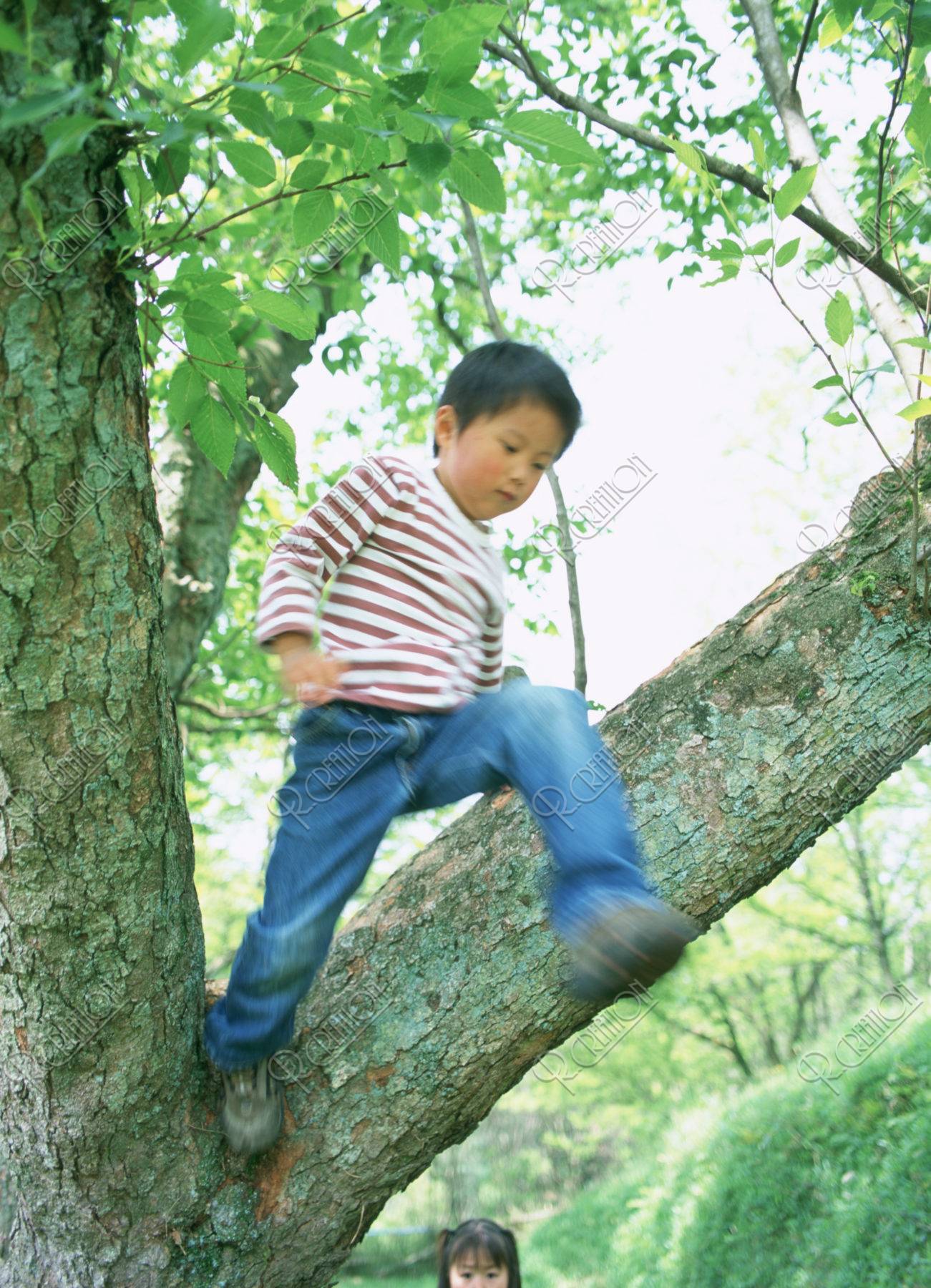 木に登る男の子