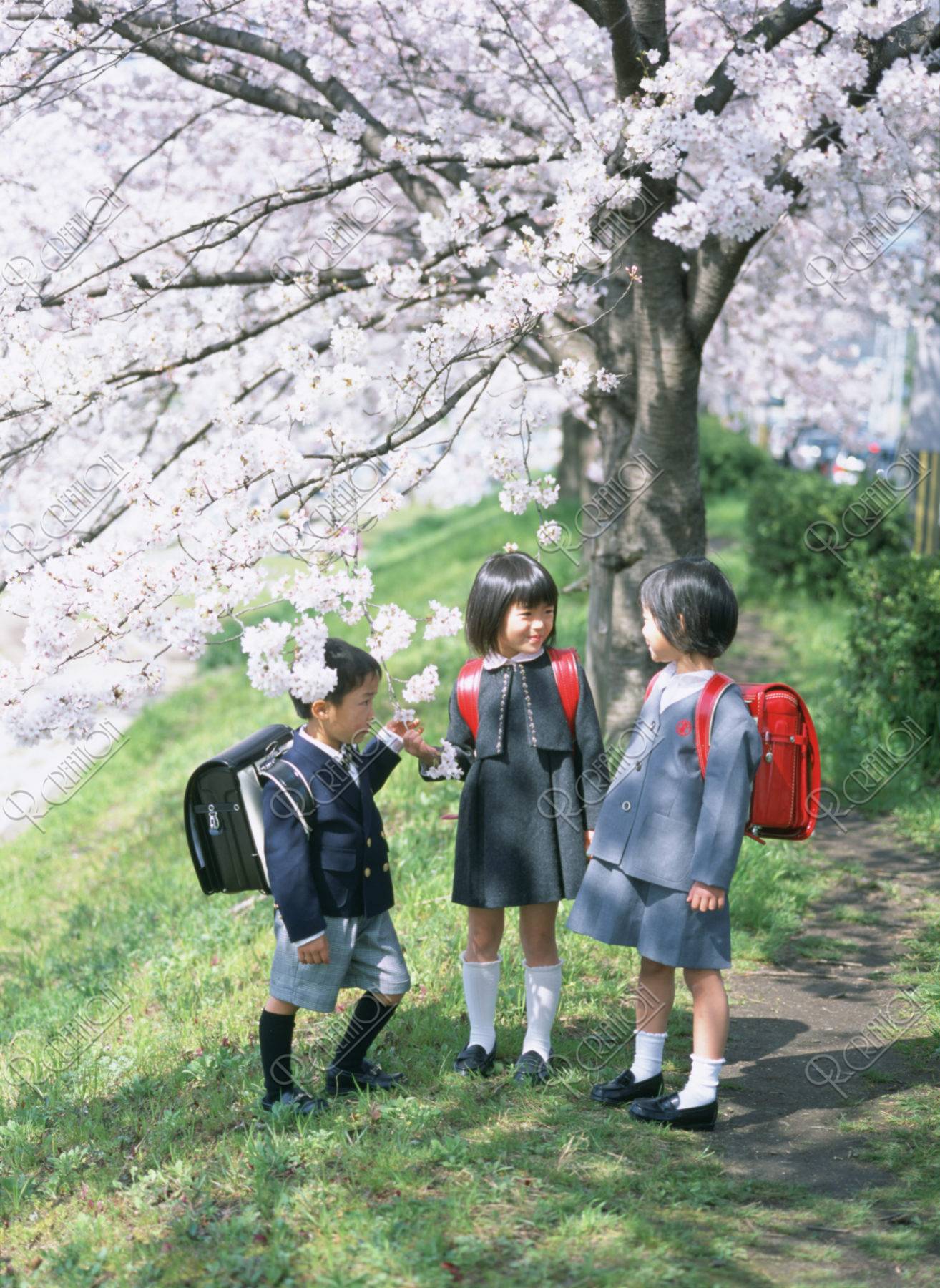 桜の花と３人の新入生