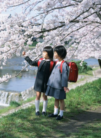 桜の花と２人の新入生