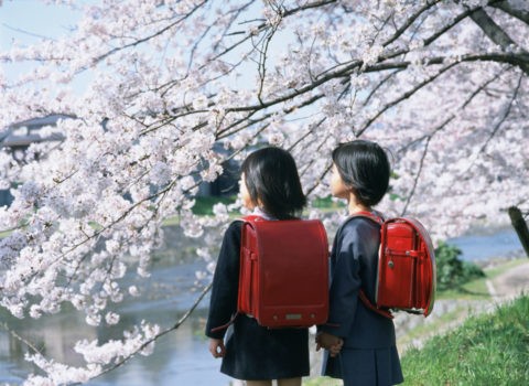 桜の花と２人の新入生
