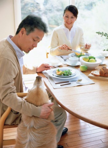 食事中の熟年夫婦と犬