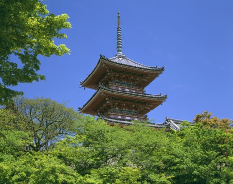 新緑の清水寺三重塔 世界遺産