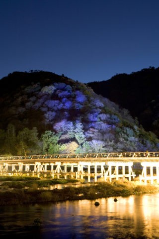 嵐山渡月橋と花灯路 １２月