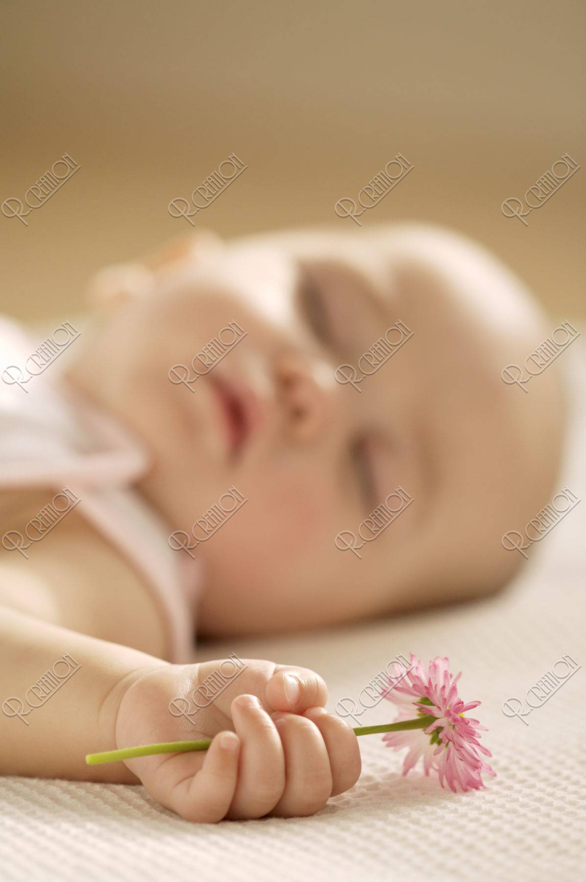 眠る赤ちゃんと花を持つ手 ストックフォト アールクリエーション