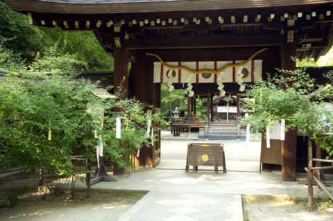 参道の萩 梨木神社