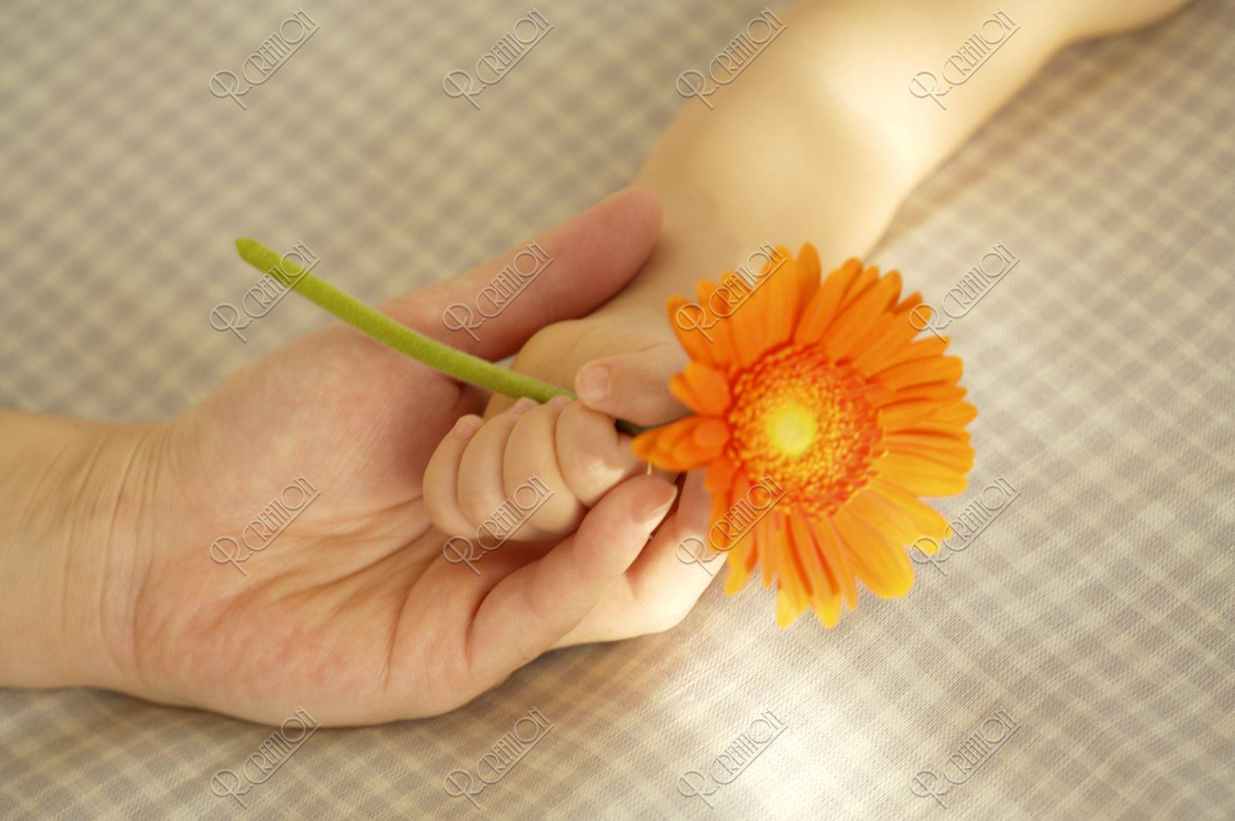 花を持つ母親と赤ちゃんの手