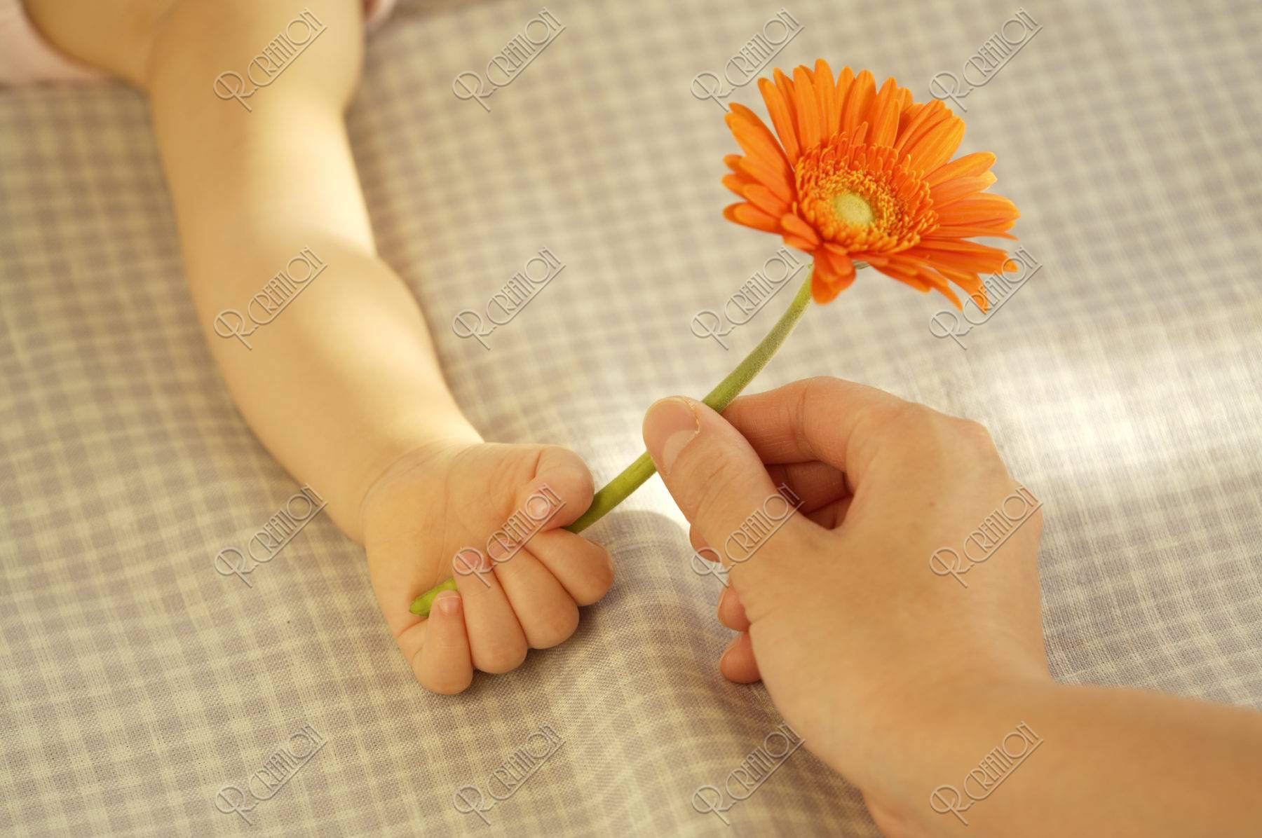 花を持つ母親と赤ちゃんの手 ストックフォト アールクリエーション