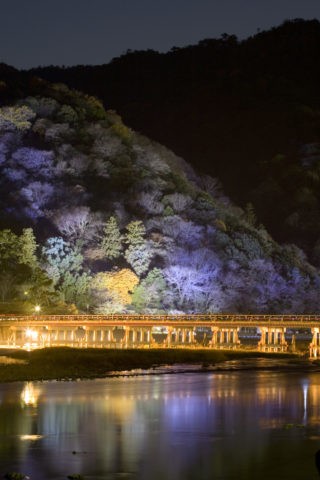 嵐山 渡月橋 霞 花灯路 夜景 ライトアップ