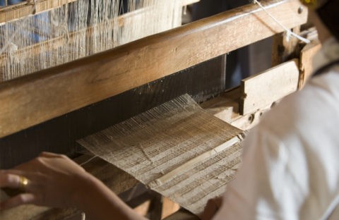 ハス 糸 織物 藕糸織 機織 手織