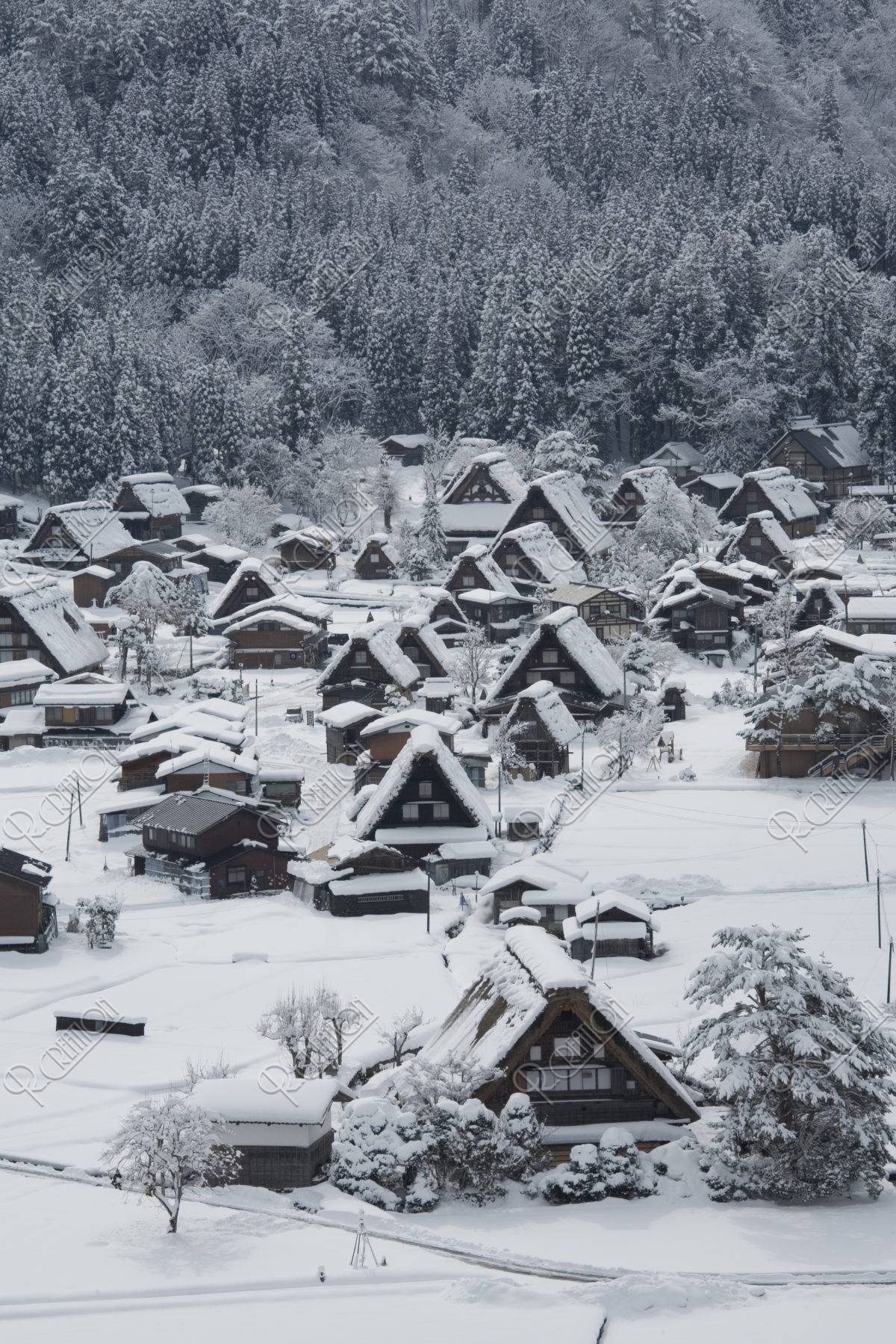 白川郷 雪 冬 集落 伝統的建造物 茅葺き民家 世界遺産