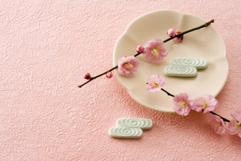 春 和風 梅 花 干菓子 ピンク