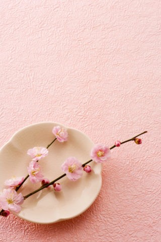 春 和風 梅 花 ピンク