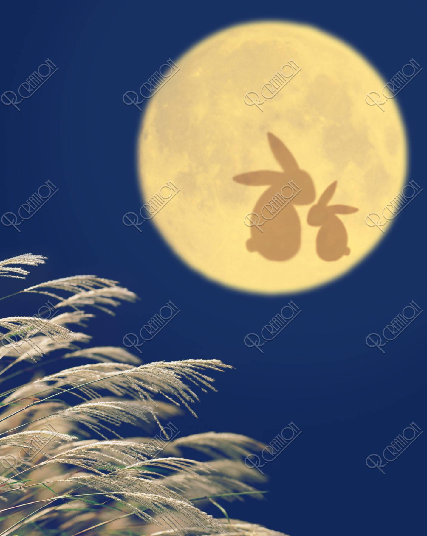 満月 ウサギ ススキ CG