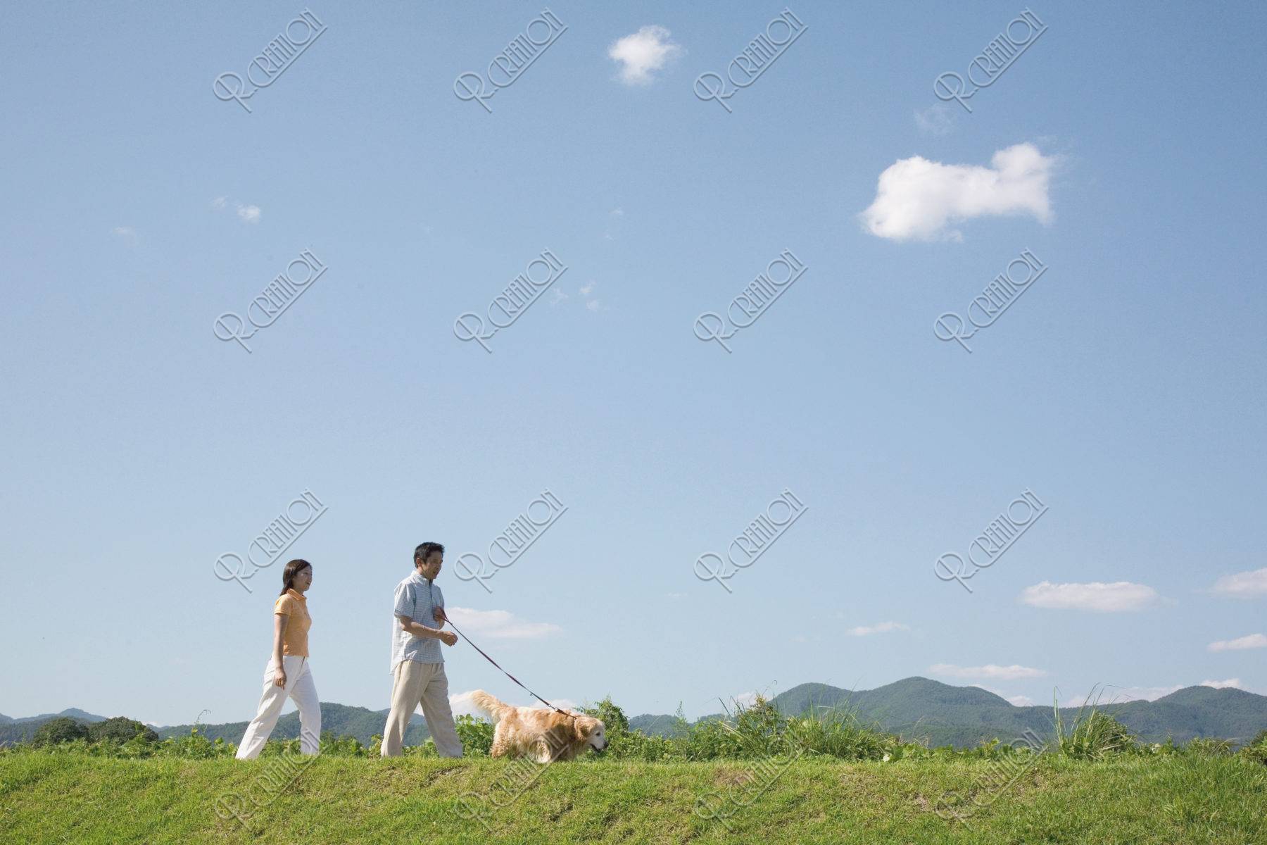 土手を散歩するカップルと犬