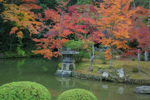 嵯峨釈迦堂の庭 紅葉と灯篭