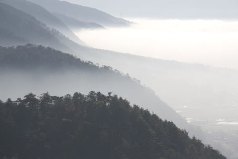 亀岡盆地の朝霧