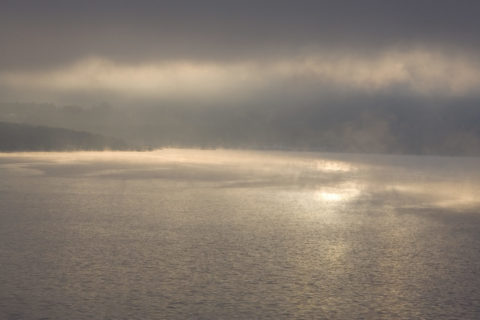 本栖湖の朝霧