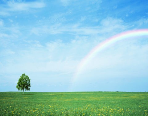 虹と草原