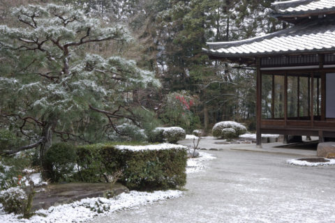 雪の南禅寺天授庵