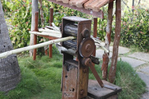 昔のサトウキビ搾り器
