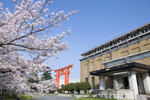 桜と平安神宮大鳥居と京都市美術館