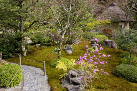 鈴虫寺庭園