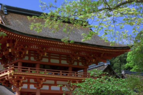 新緑のモミジと下鴨神社楼門 世界遺産