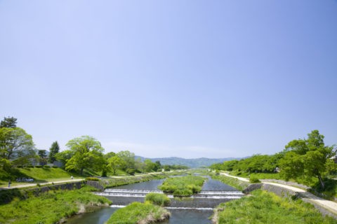 新緑の賀茂川