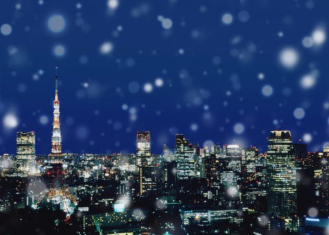 雪の東京タワー夜景
