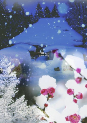 雪の民家と山茶花