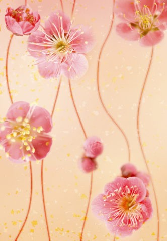 梅の花と和風イメージCG