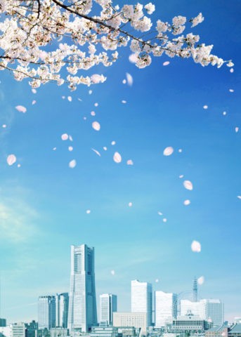 ビル群と桜吹雪
