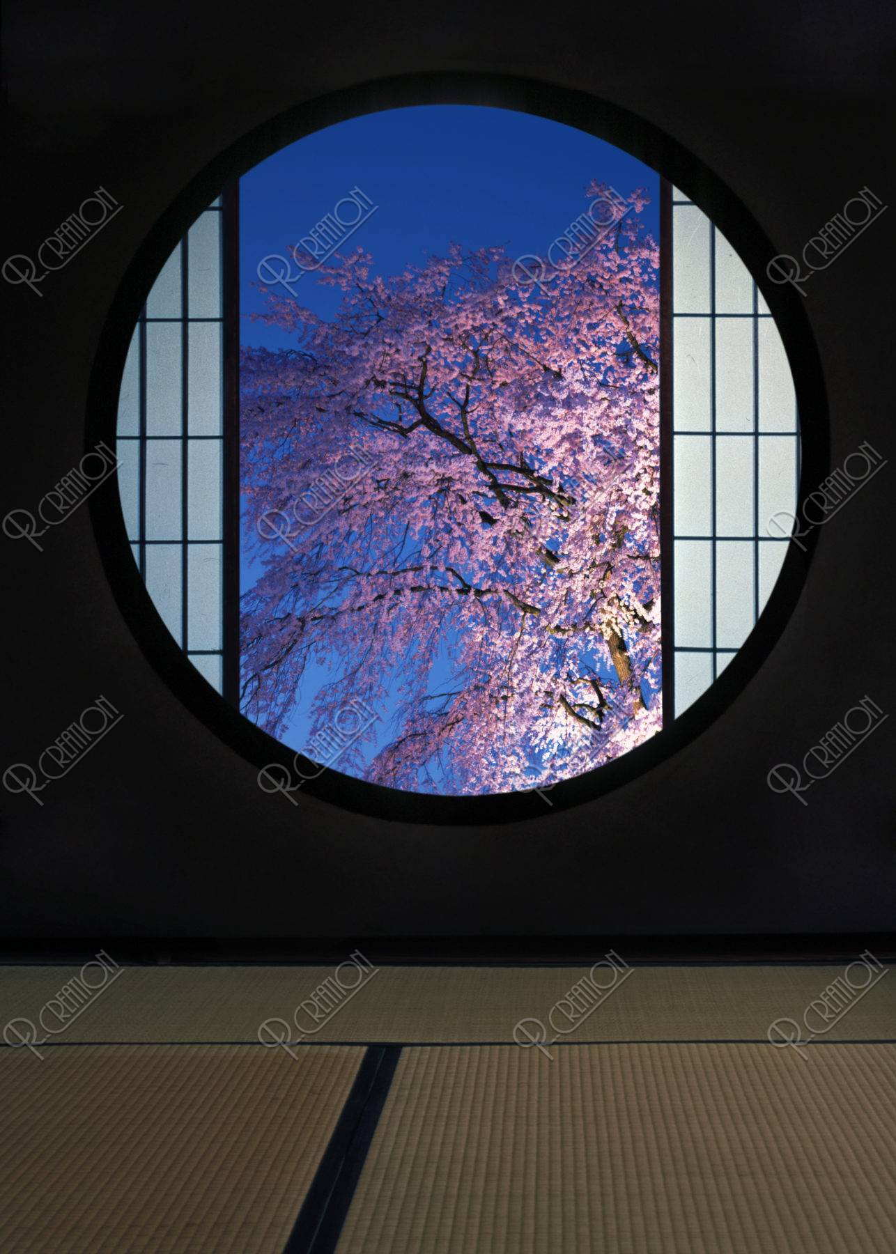 丸窓と夜桜
