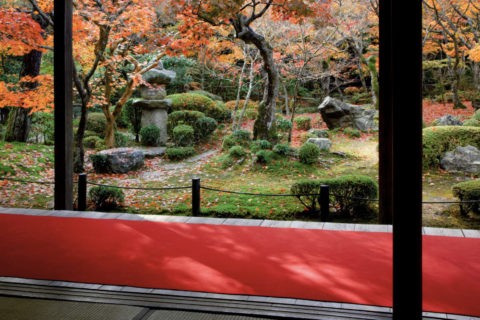 紅葉と圓光寺庭園