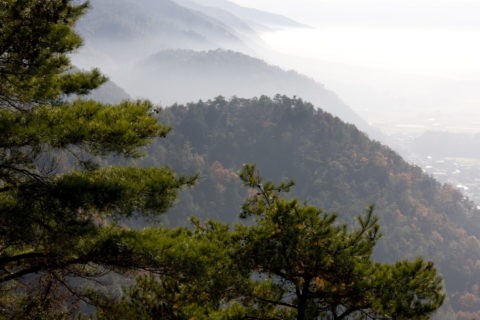 朝霧と亀岡盆地