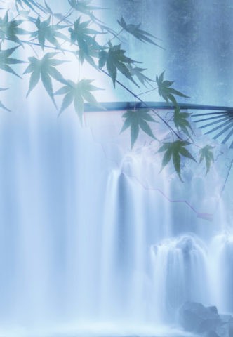 青楓と滝