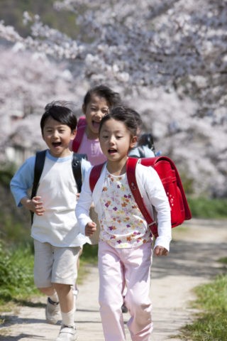 桜の道を走る小学生