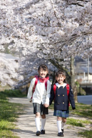 桜の道を歩く小学生