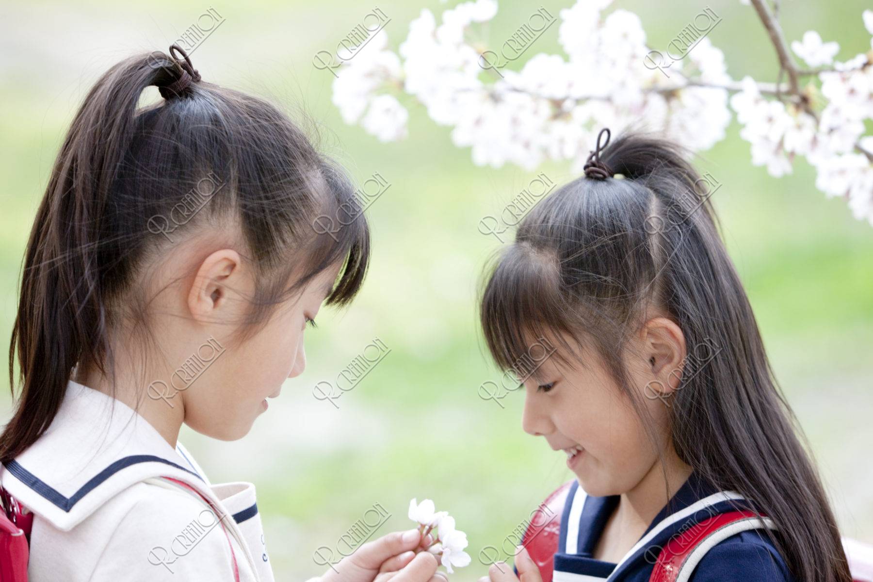 桜の花と小学生